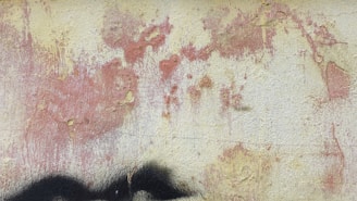 Before photo showing a worn-out, faded wall in a cozy home interior.