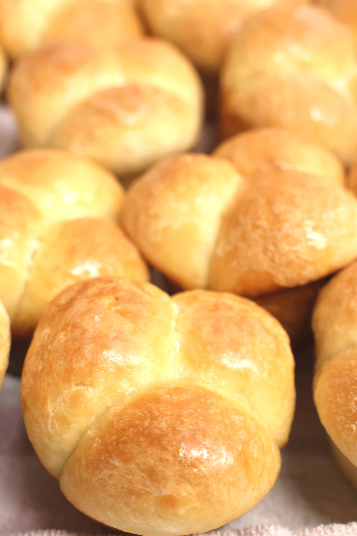 White Rolls Pack (Babcock)