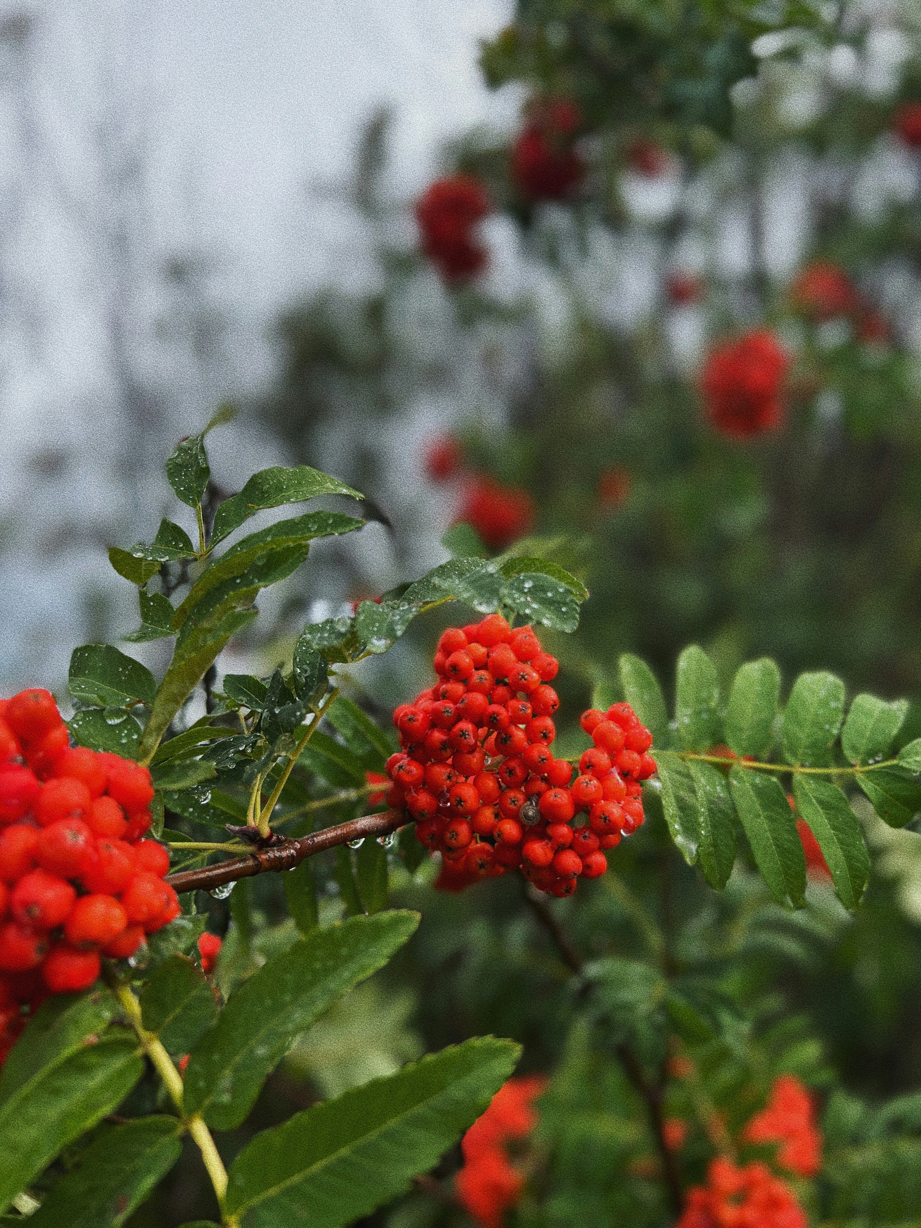 Photo by dianapolyakova