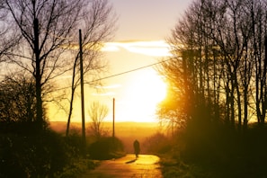 A serene image of a solo founder taking a reflective walk in nature during golden hour.