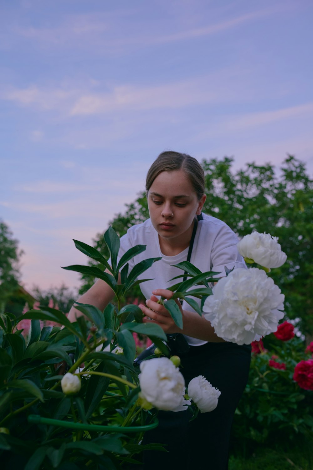 a woman is picking flowers from a bush