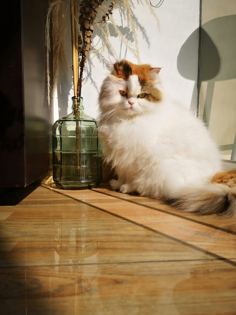 a cat sitting on the floor next to a vase