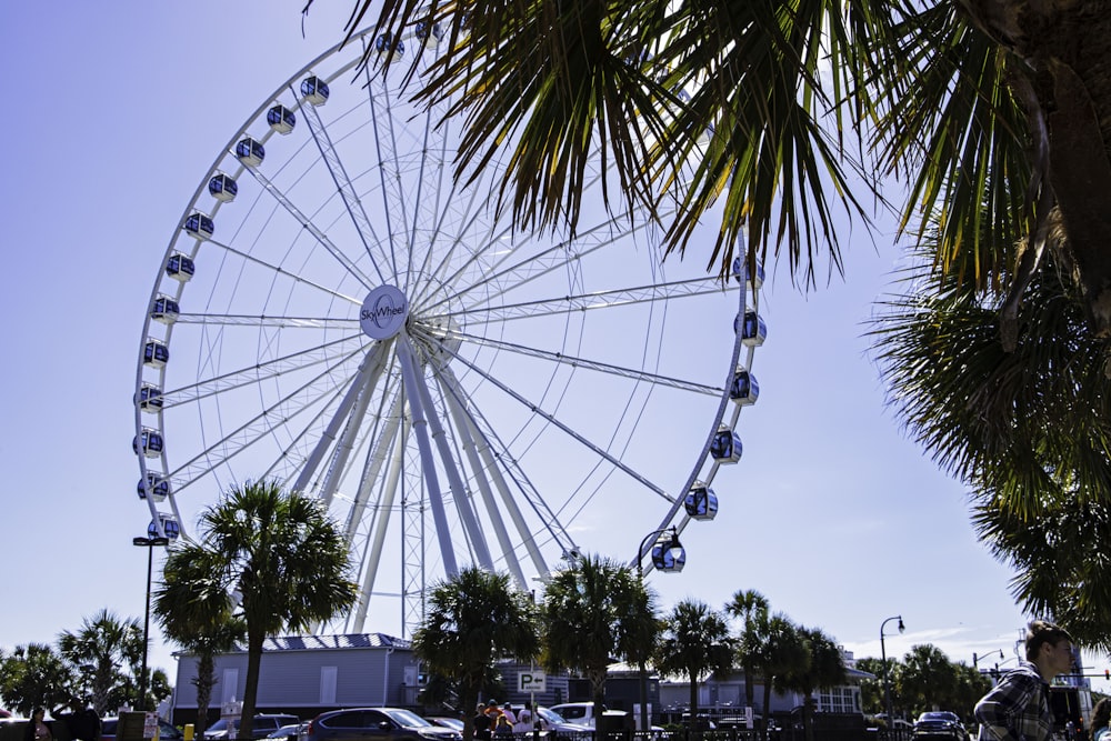 uma grande roda gigante sentada ao lado de uma palmeira