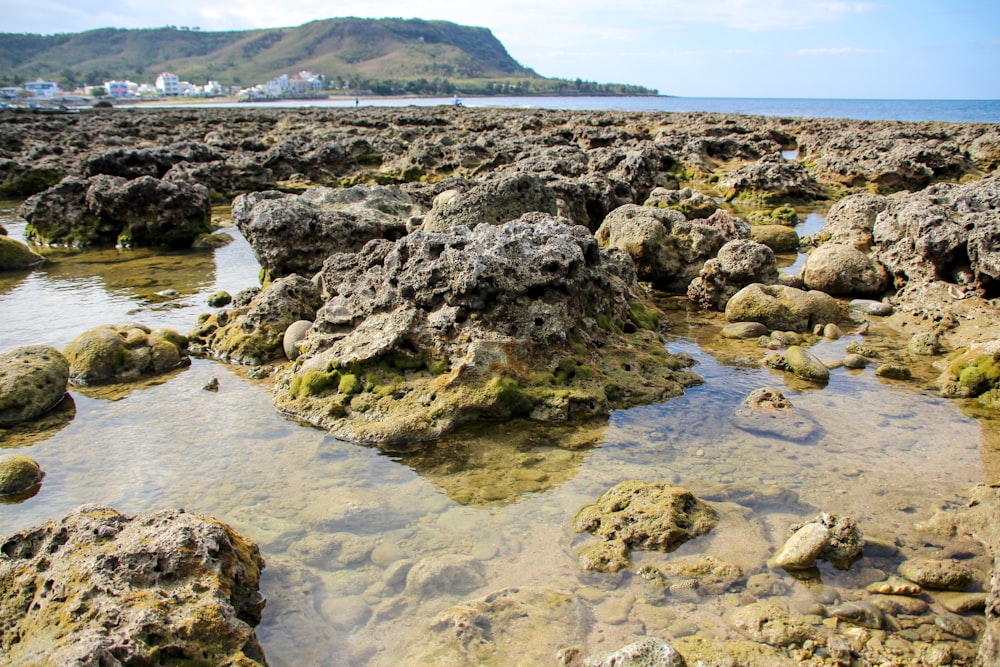 a rocky beach covered in lots of water
