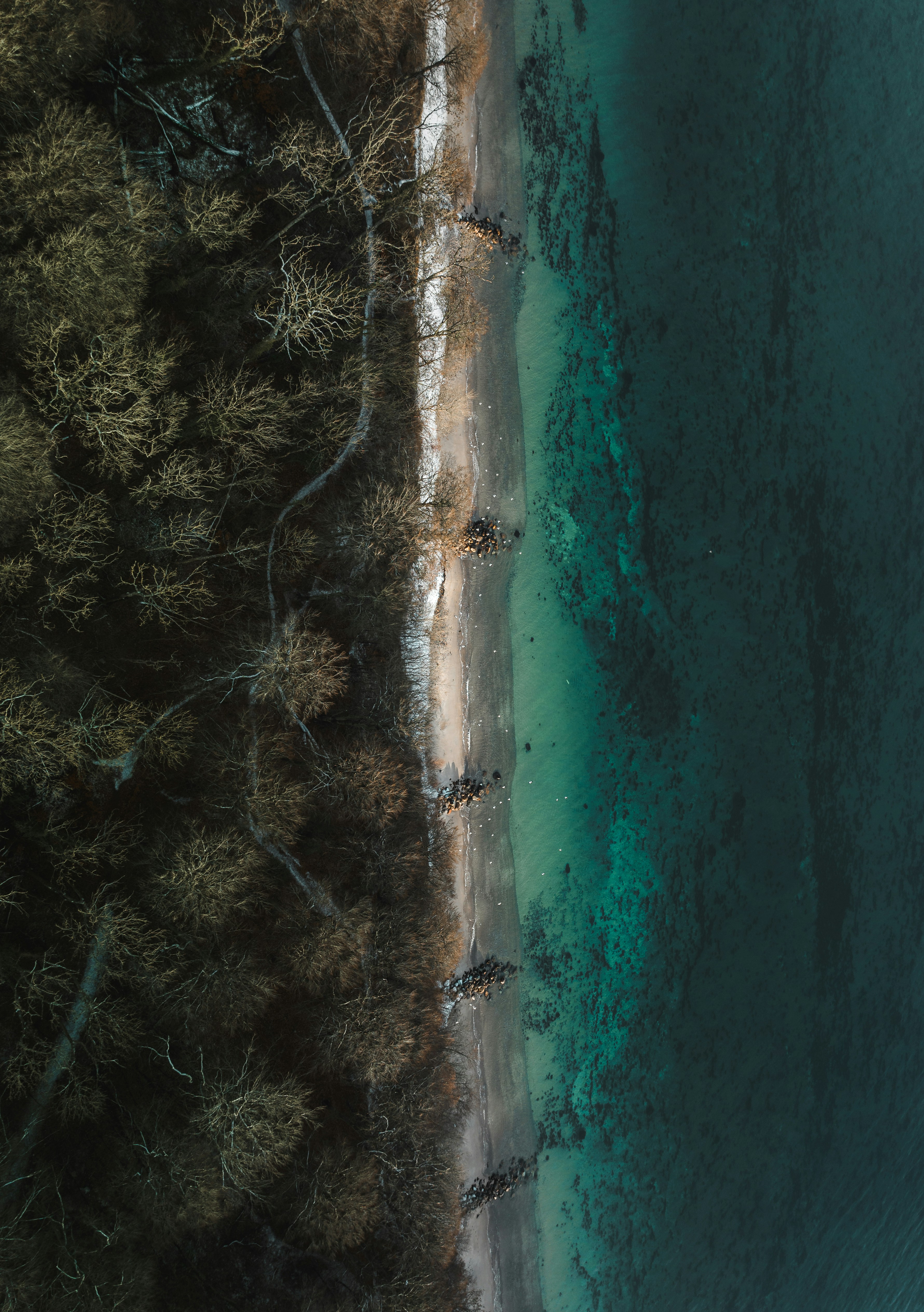 Malik Skydsgaard's photo