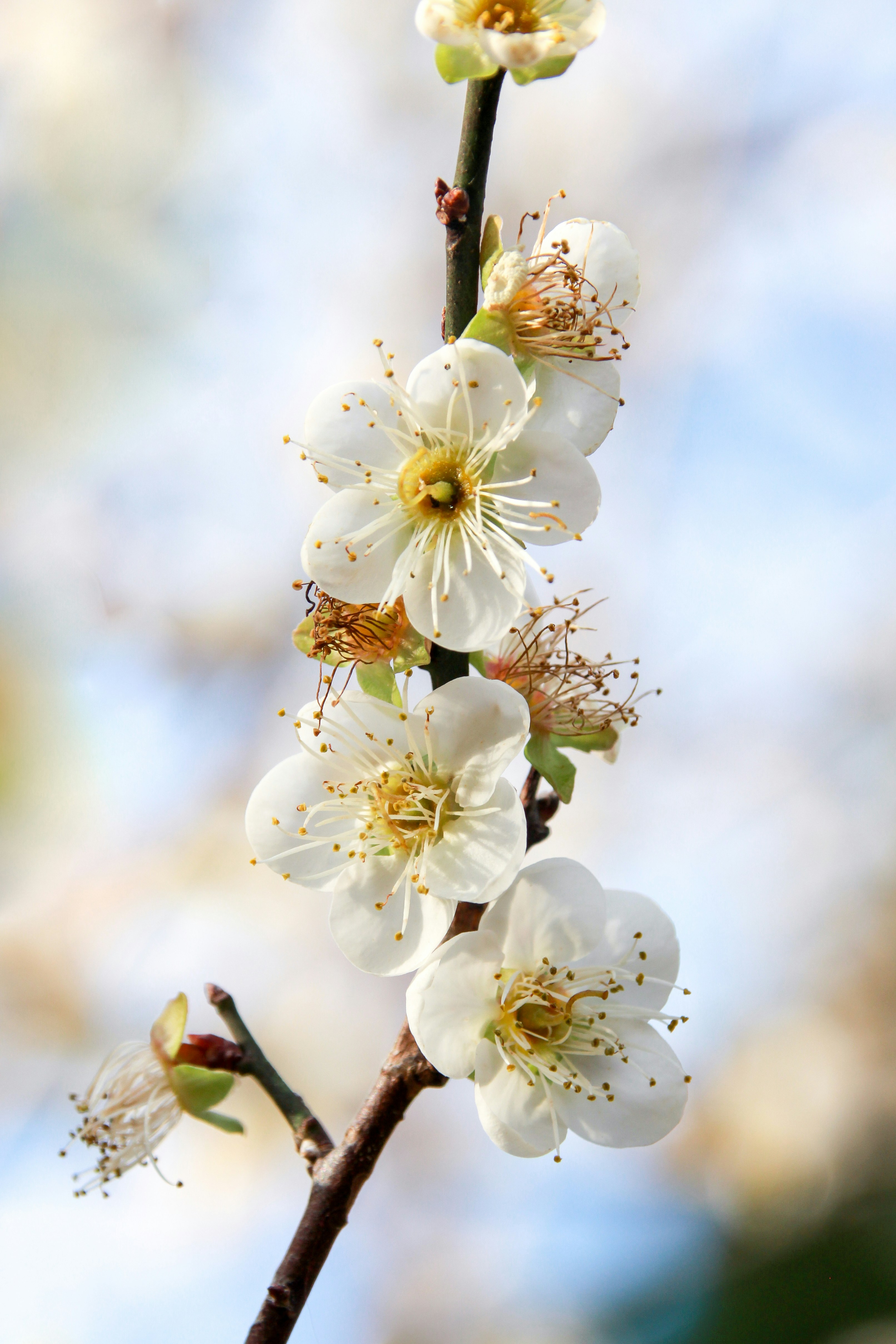 Photo by rickyrynselo