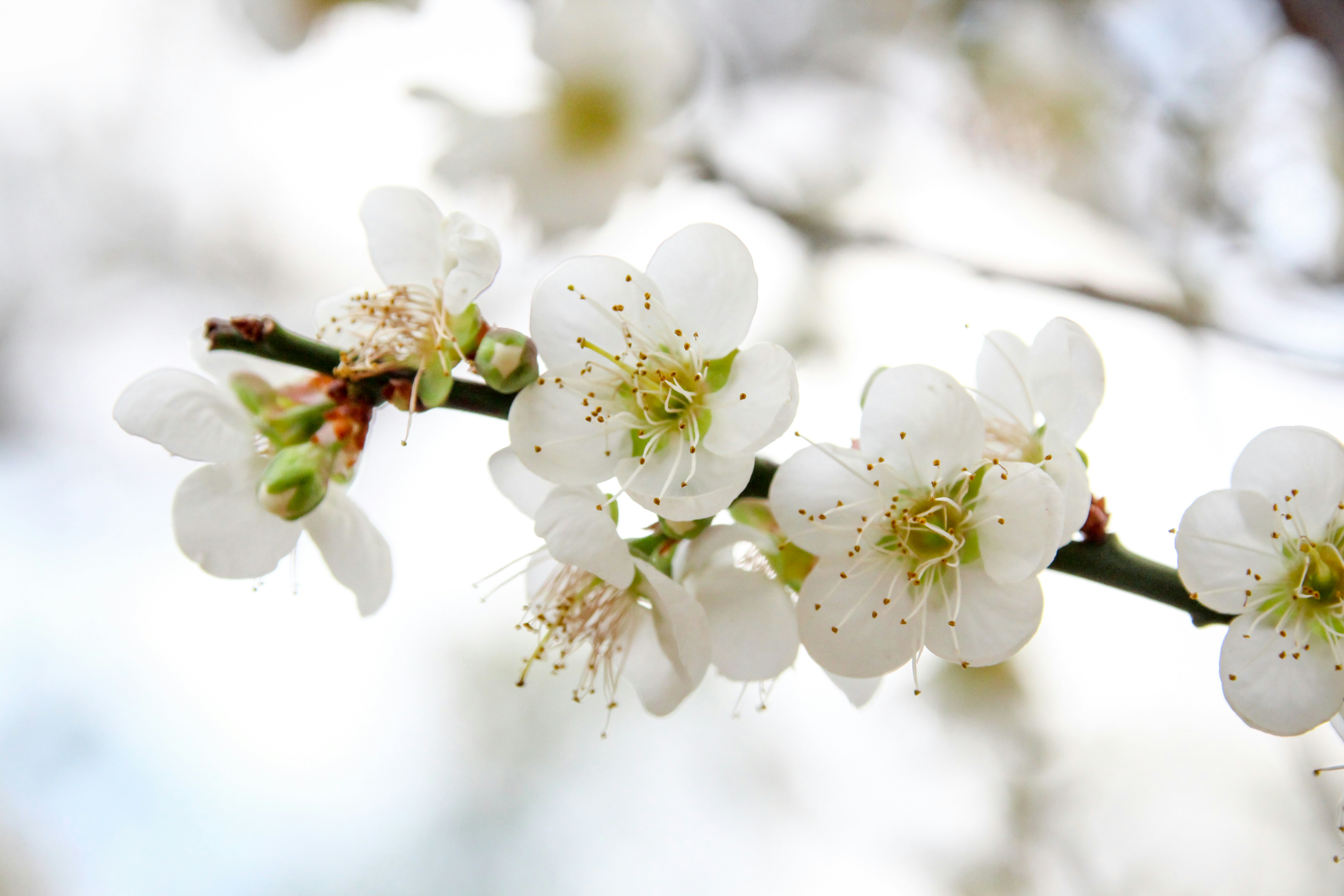 Photo by rickyrynselo