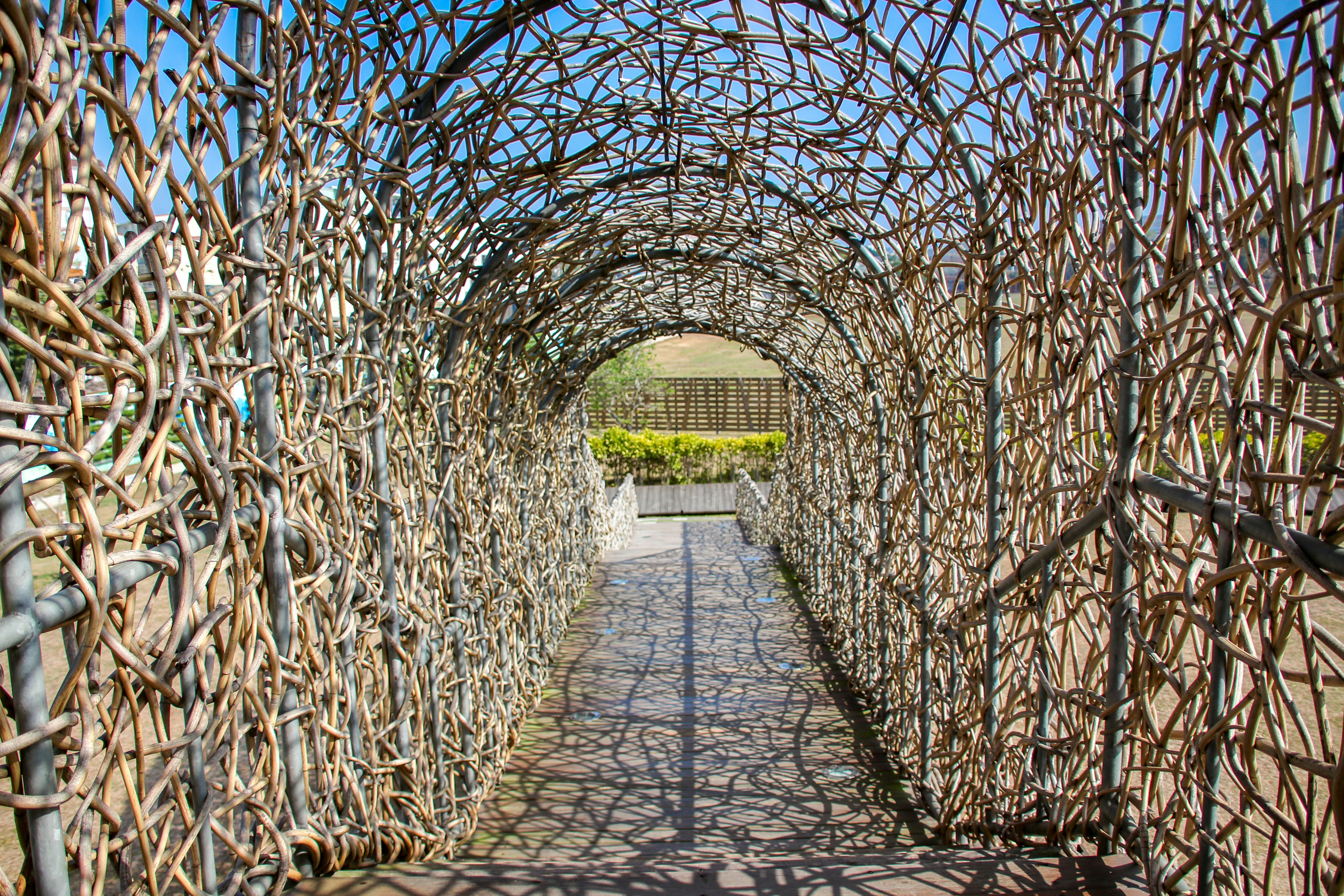 Photo by rickyrynselo