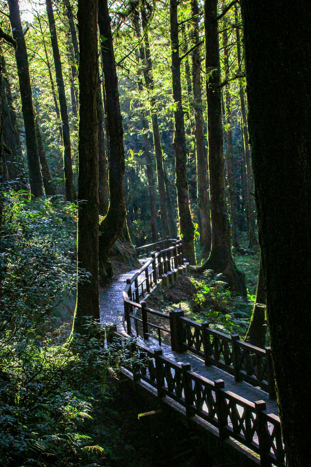 a group of benches sitting in the middle of a forest