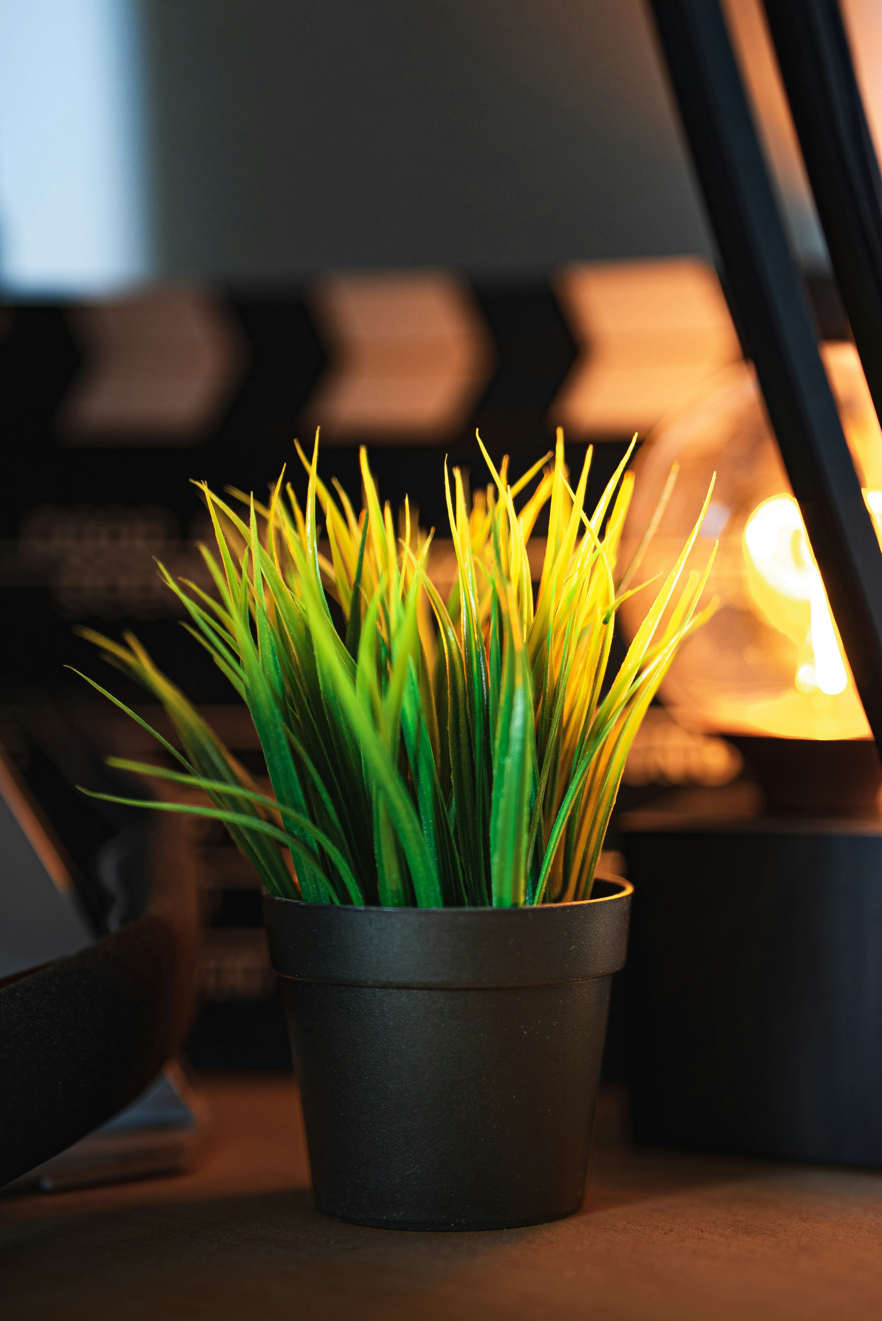 나무 테이블 위에 앉아 있는 화분