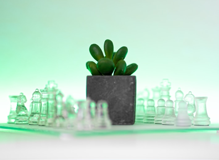 a small green plant sitting on top of a chess board