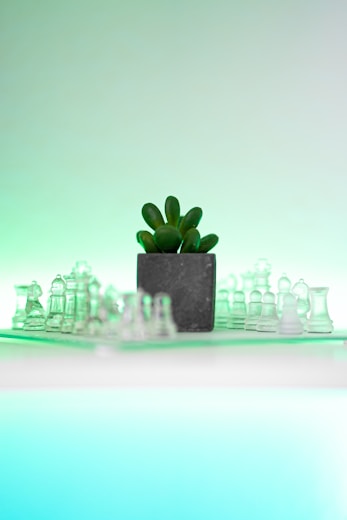 a small green plant sitting on top of a chess board