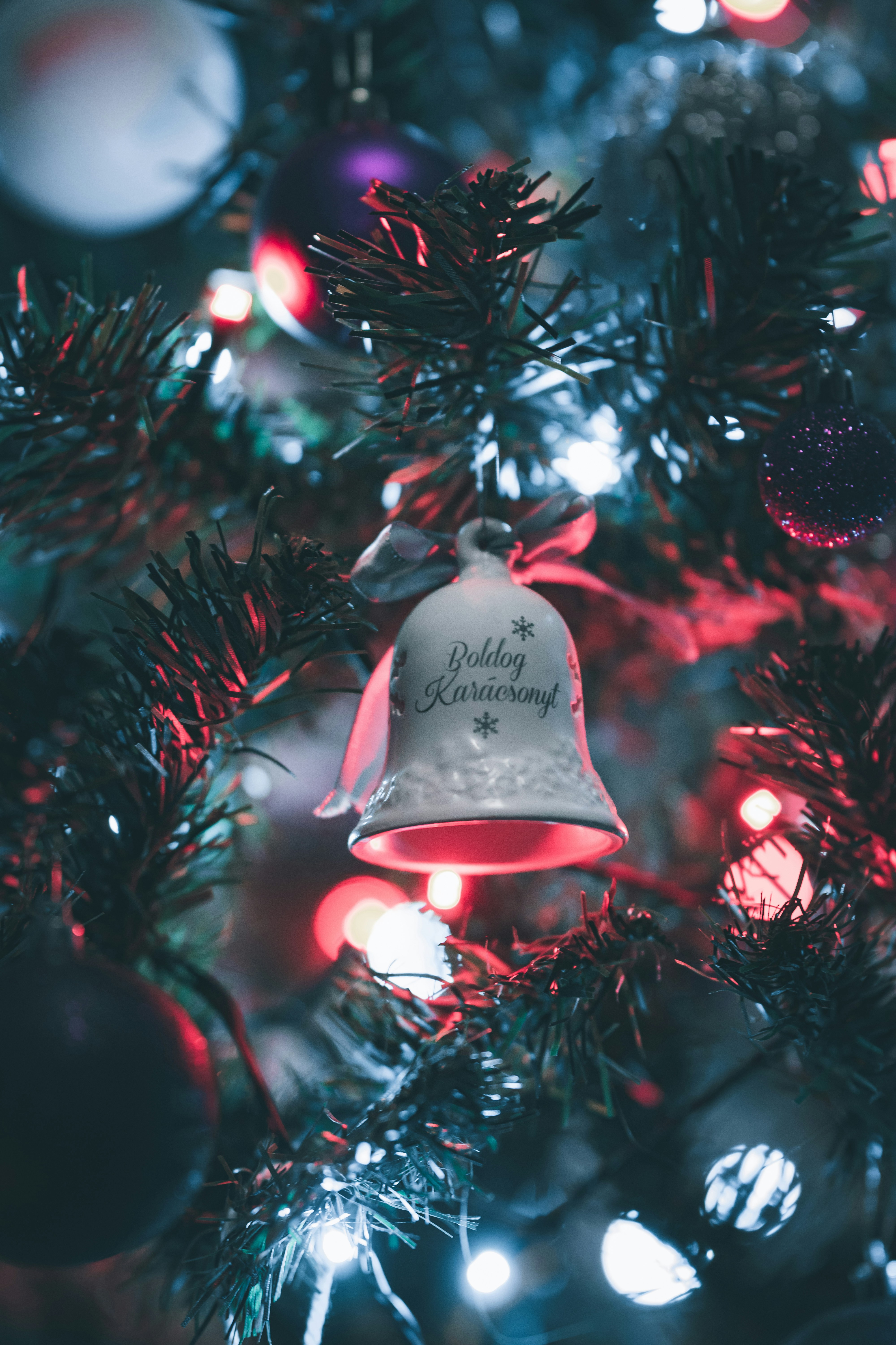 Un albero di Natale con una campana su di esso foto – Immagine gratis di  Sfondo su Unsplash, image size:3000x4500