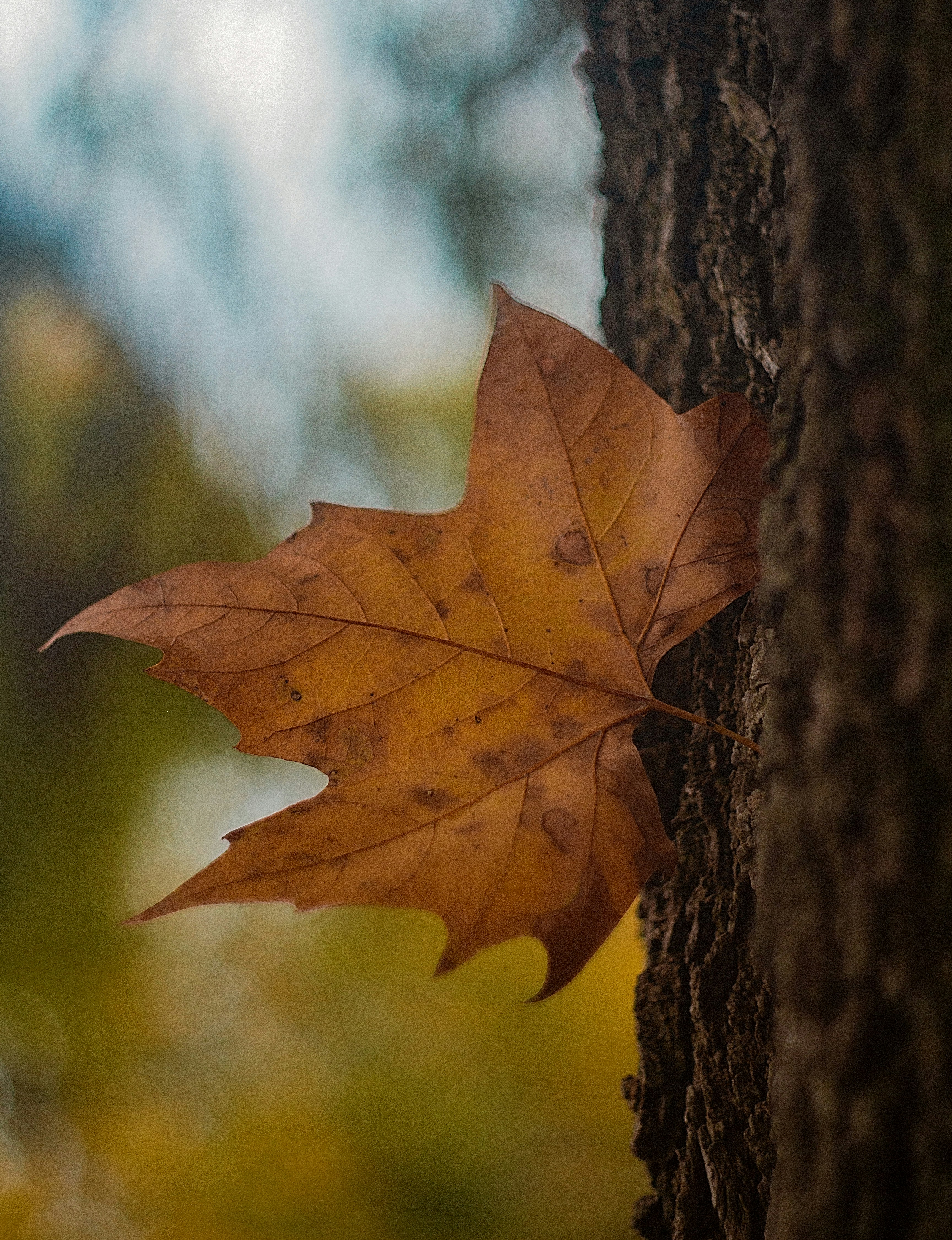 Photo by emmanuelphaeton