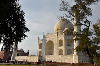 a large white building sitting next to a tree
