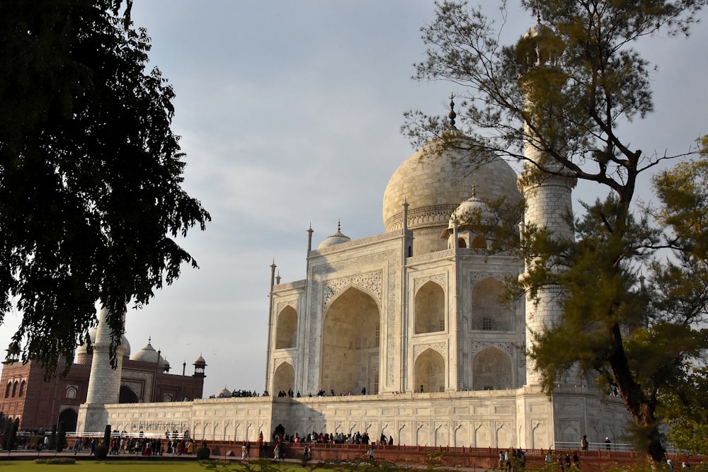 a large white building sitting next to a tree