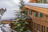 A wooden chalet with green shutters on the windows is covered by a thick layer of snow on the roof. Tall evergreen trees are partially covered in snow, surrounding the chalet, with a mountainous backdrop partially visible. Another similar chalet is seen in the distance.