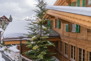 A wooden chalet with green shutters on the windows is covered by a thick layer of snow on the roof. Tall evergreen trees are partially covered in snow, surrounding the chalet, with a mountainous backdrop partially visible. Another similar chalet is seen in the distance.