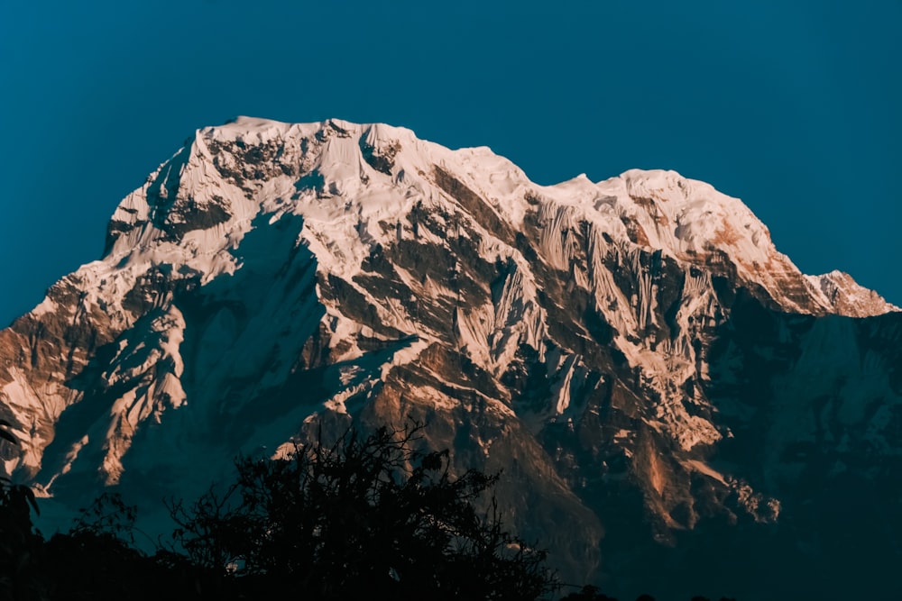 a snow covered mountain with trees below it