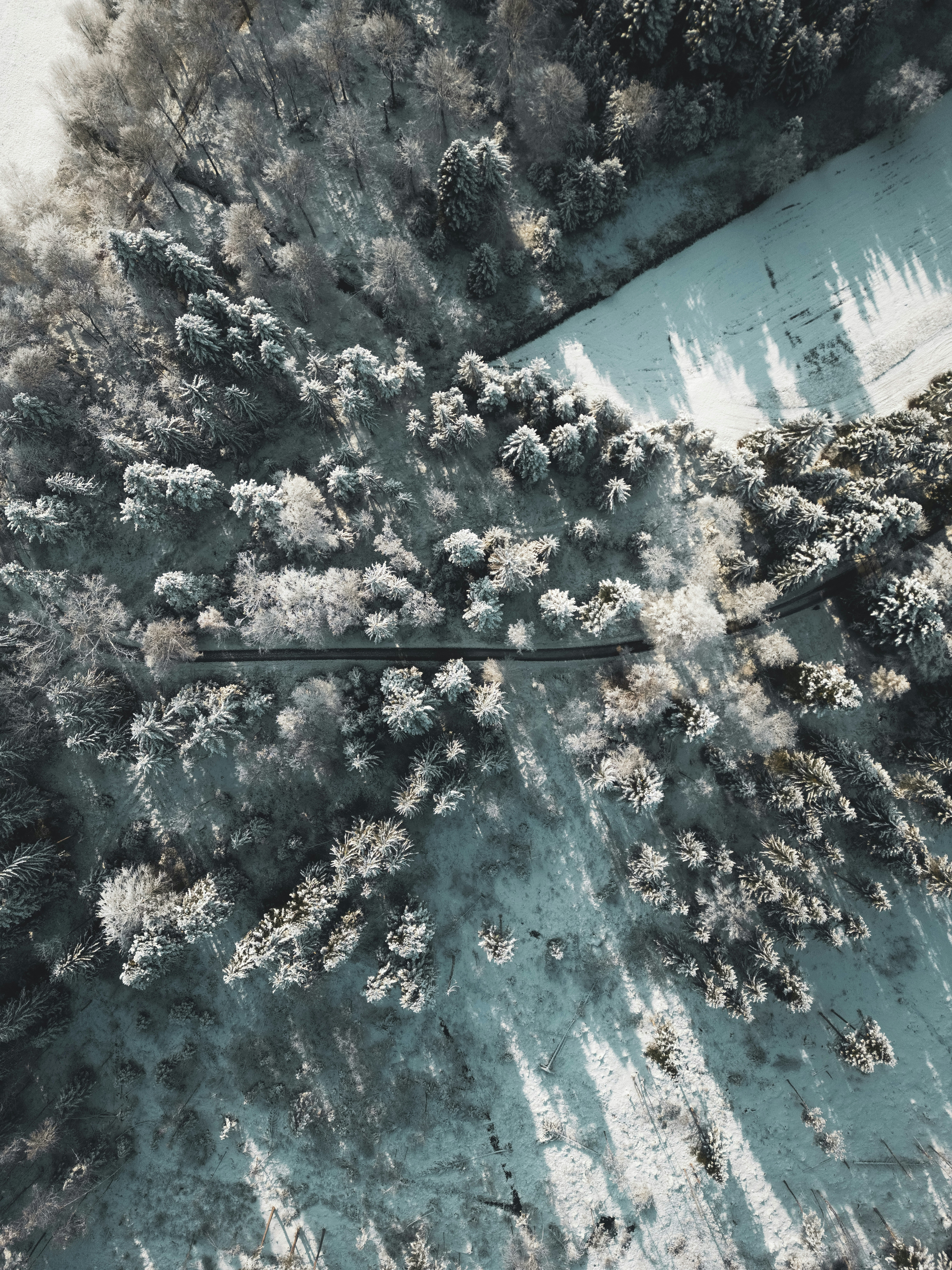 Photo by watchelijah