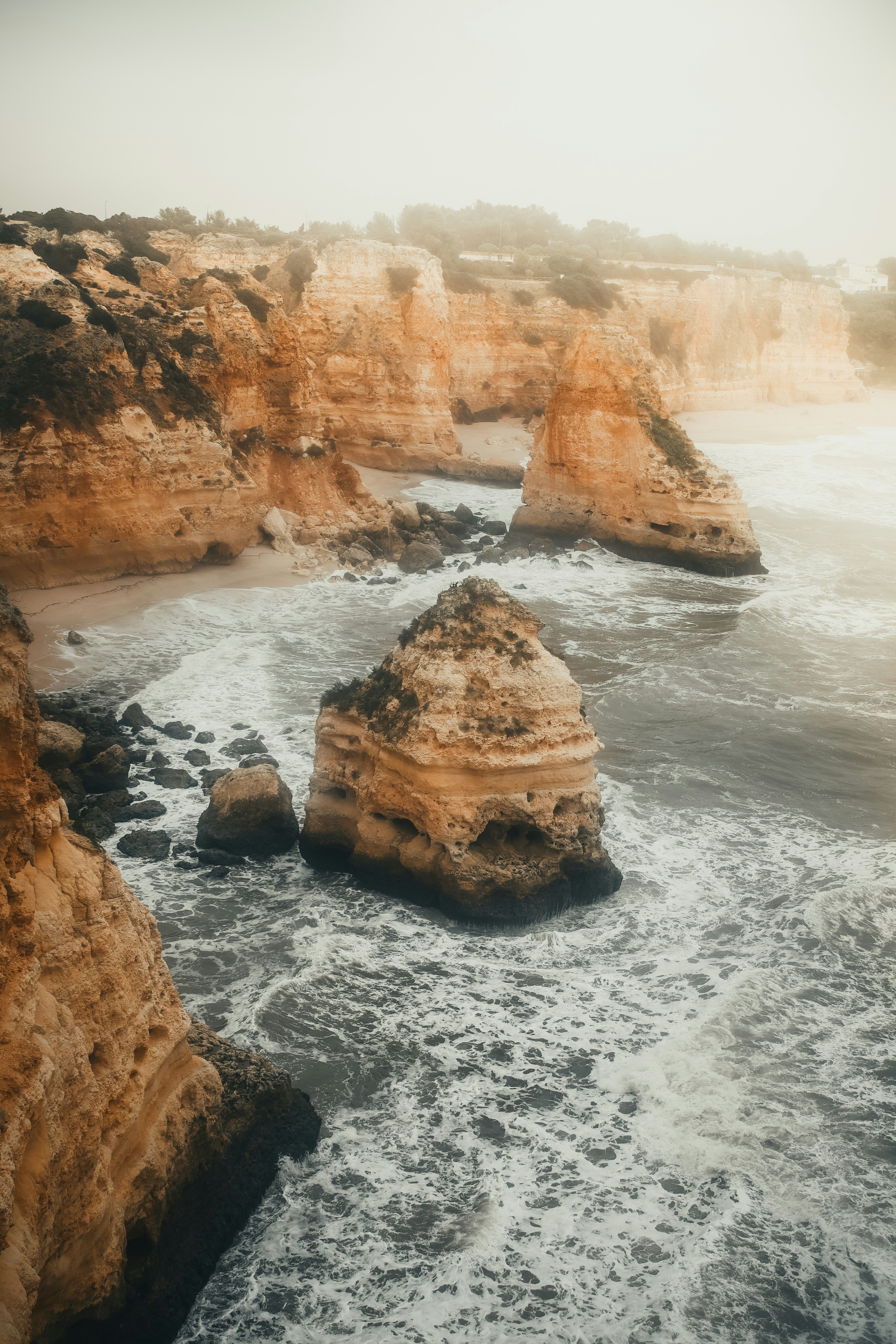 Photo by shanavaro