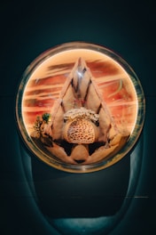 A circular aquarium contains a desert-themed landscape. Inside, a structure resembling a mountain or pyramid is surrounded by small plants and a patterned surface resembling a honeycomb or coral formation. The background is a mix of warm tones and abstract patterns.