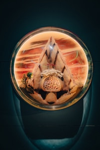 A circular aquarium contains a desert-themed landscape. Inside, a structure resembling a mountain or pyramid is surrounded by small plants and a patterned surface resembling a honeycomb or coral formation. The background is a mix of warm tones and abstract patterns.