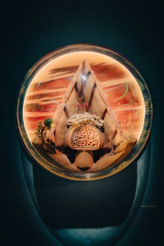 A circular aquarium contains a desert-themed landscape. Inside, a structure resembling a mountain or pyramid is surrounded by small plants and a patterned surface resembling a honeycomb or coral formation. The background is a mix of warm tones and abstract patterns.