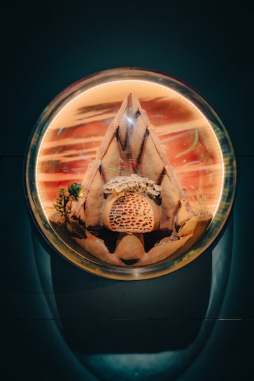 A circular aquarium contains a desert-themed landscape. Inside, a structure resembling a mountain or pyramid is surrounded by small plants and a patterned surface resembling a honeycomb or coral formation. The background is a mix of warm tones and abstract patterns.