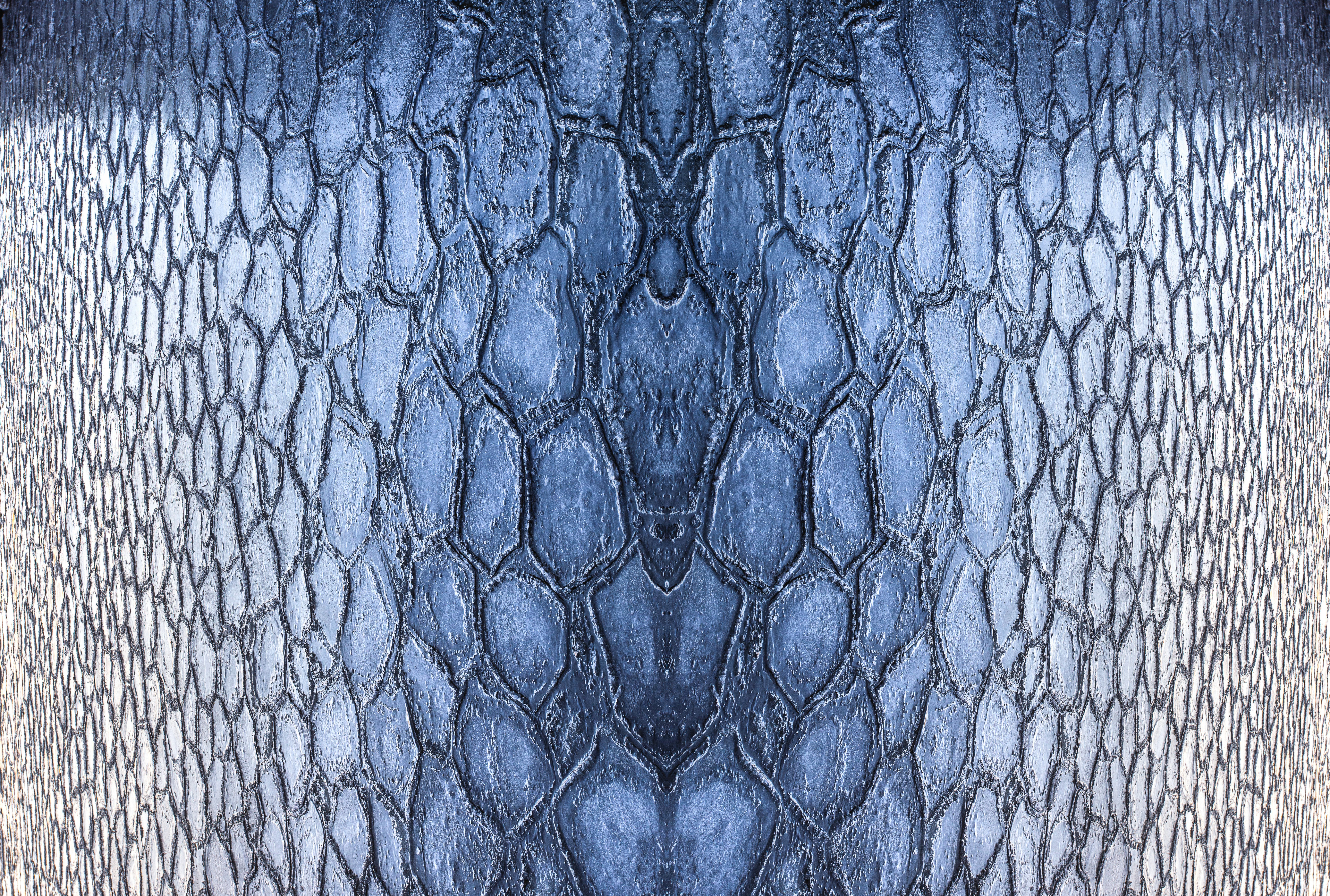 Photo by marekpiwnicki