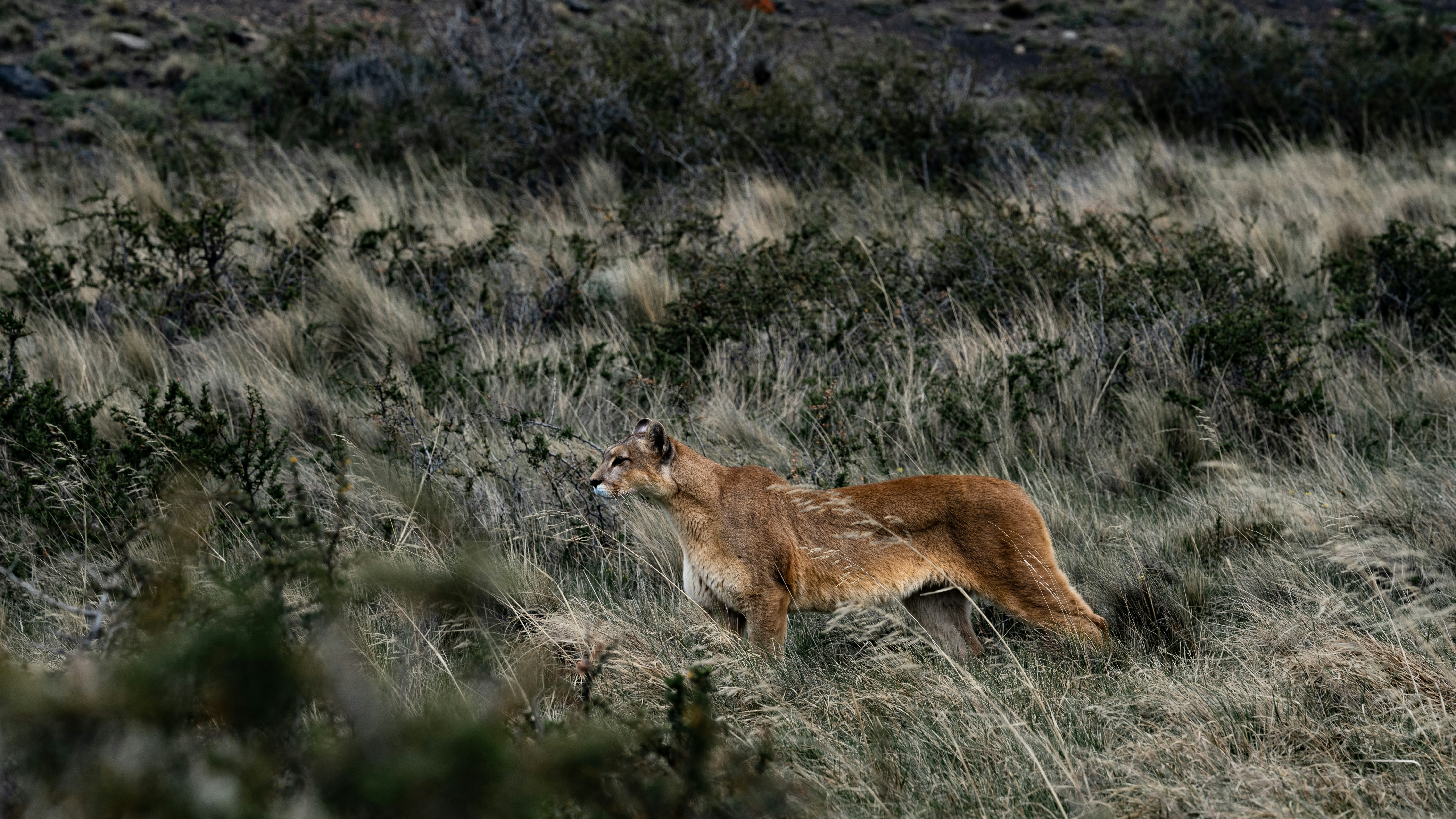 Photo by jessengibbs