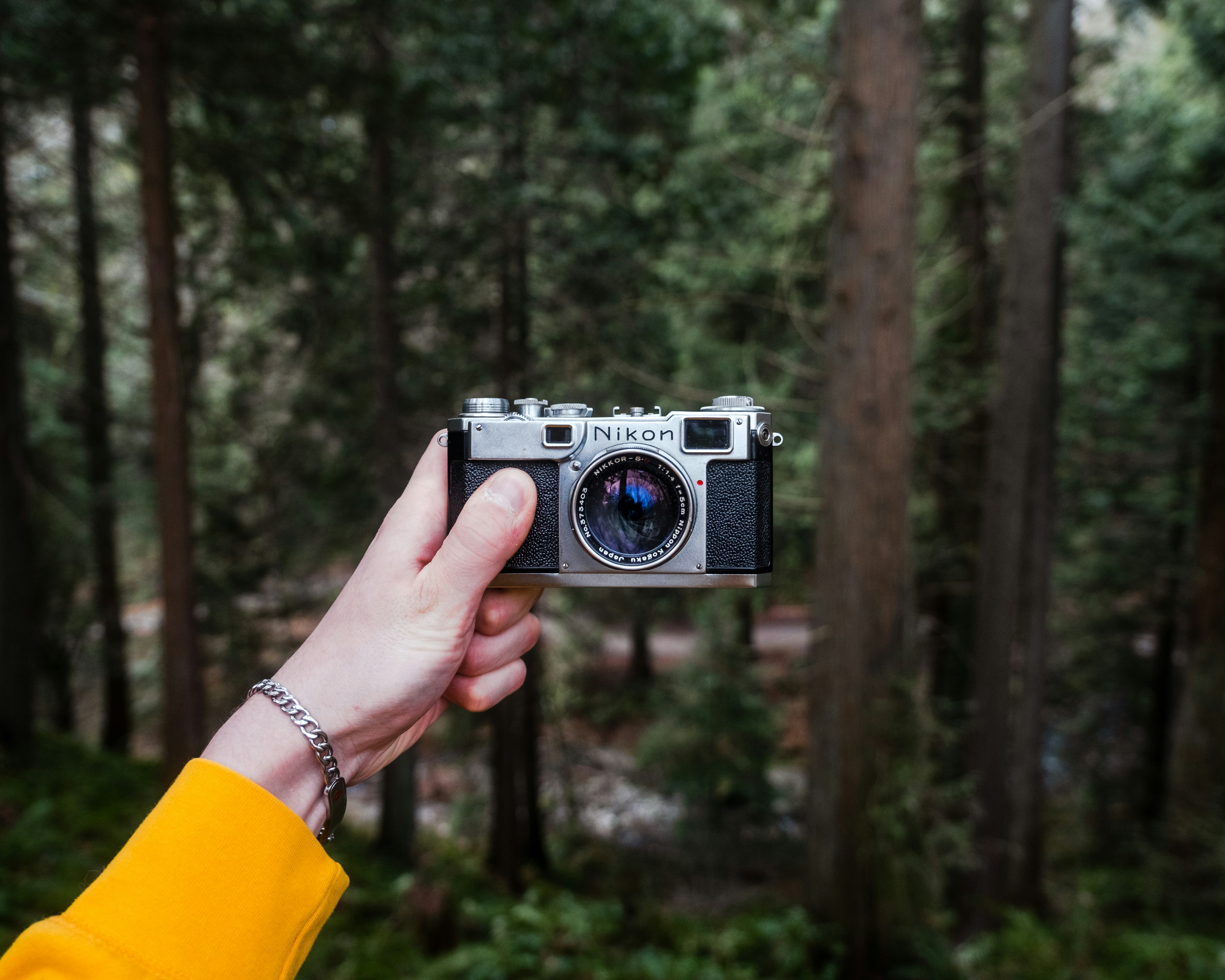 a person holding a camera in front of a forest