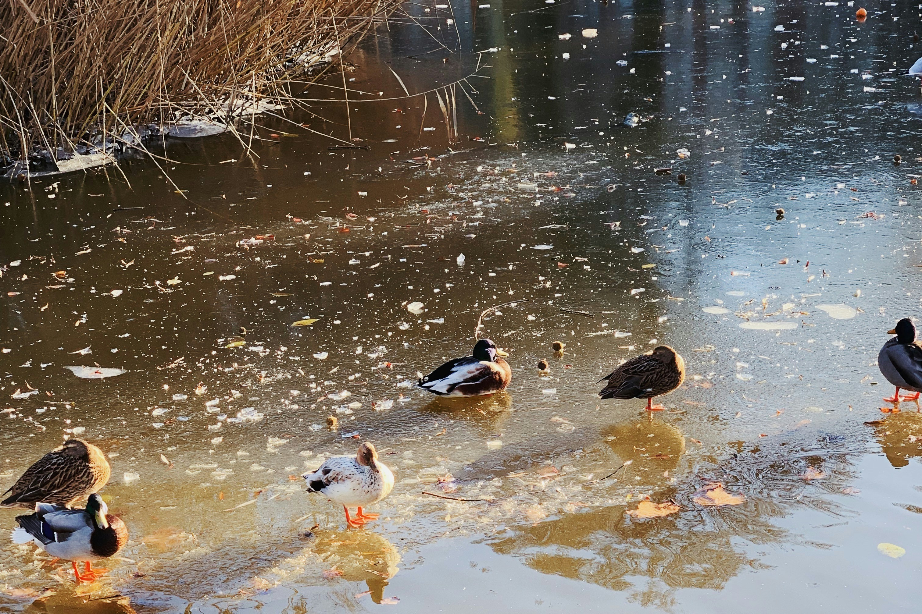 Photo by albinabaliuk