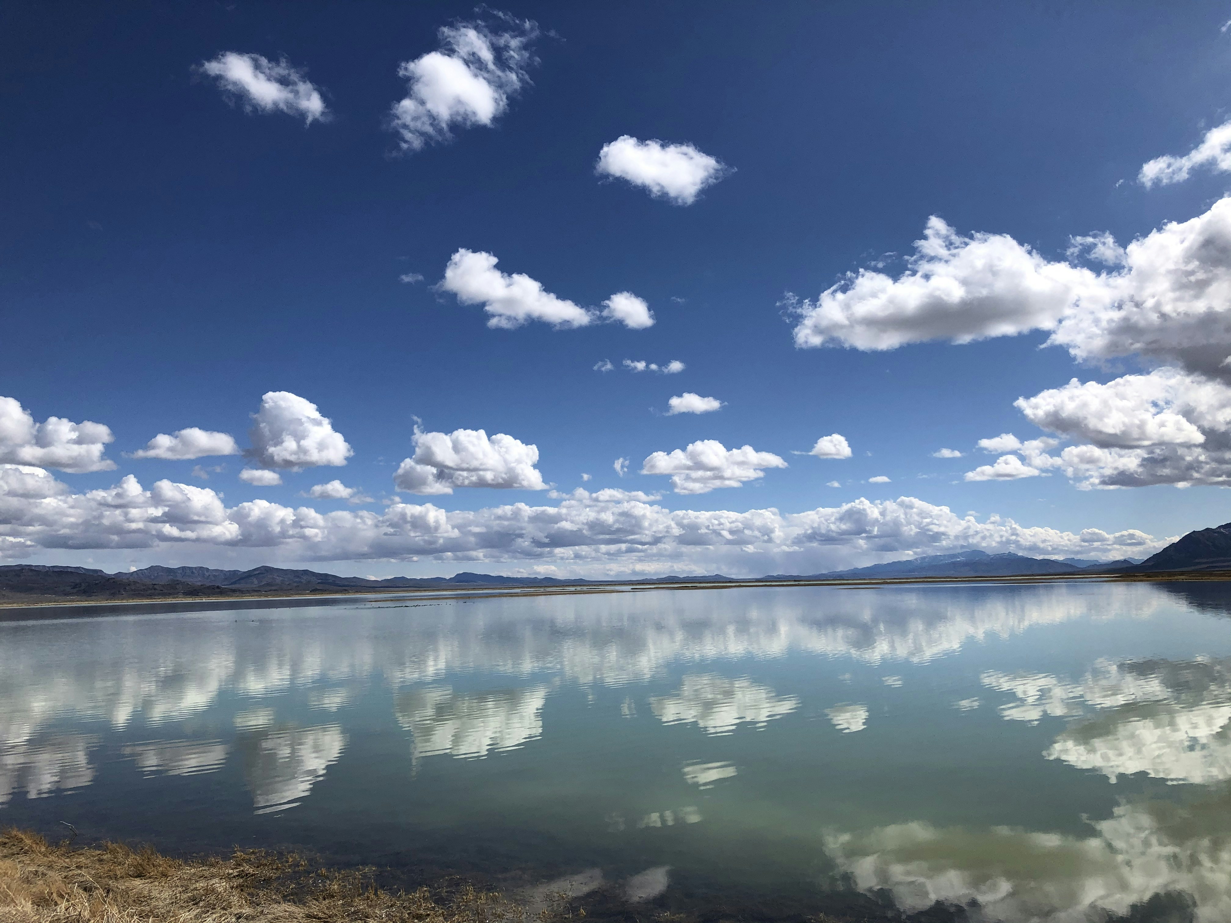 Photo by tyler_mower