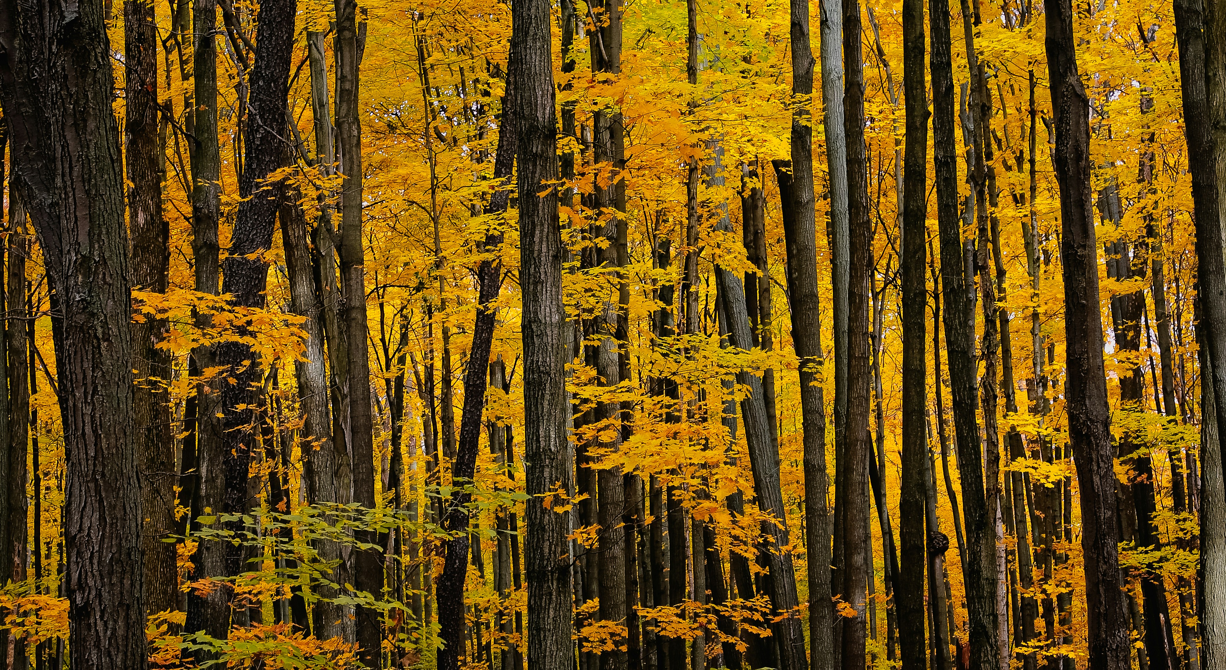 Photo by farhadgraphy