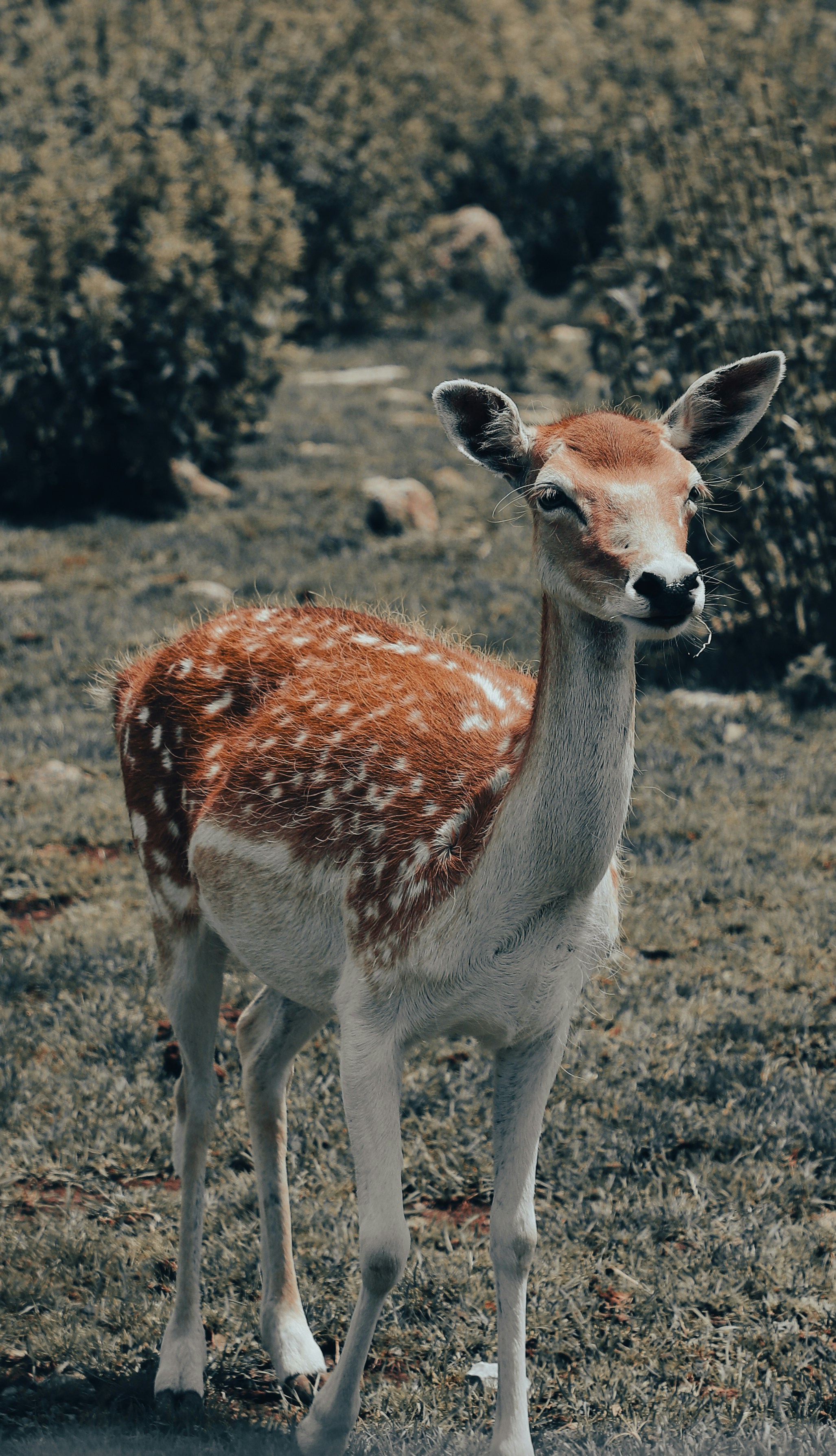 Photo by farhadgraphy