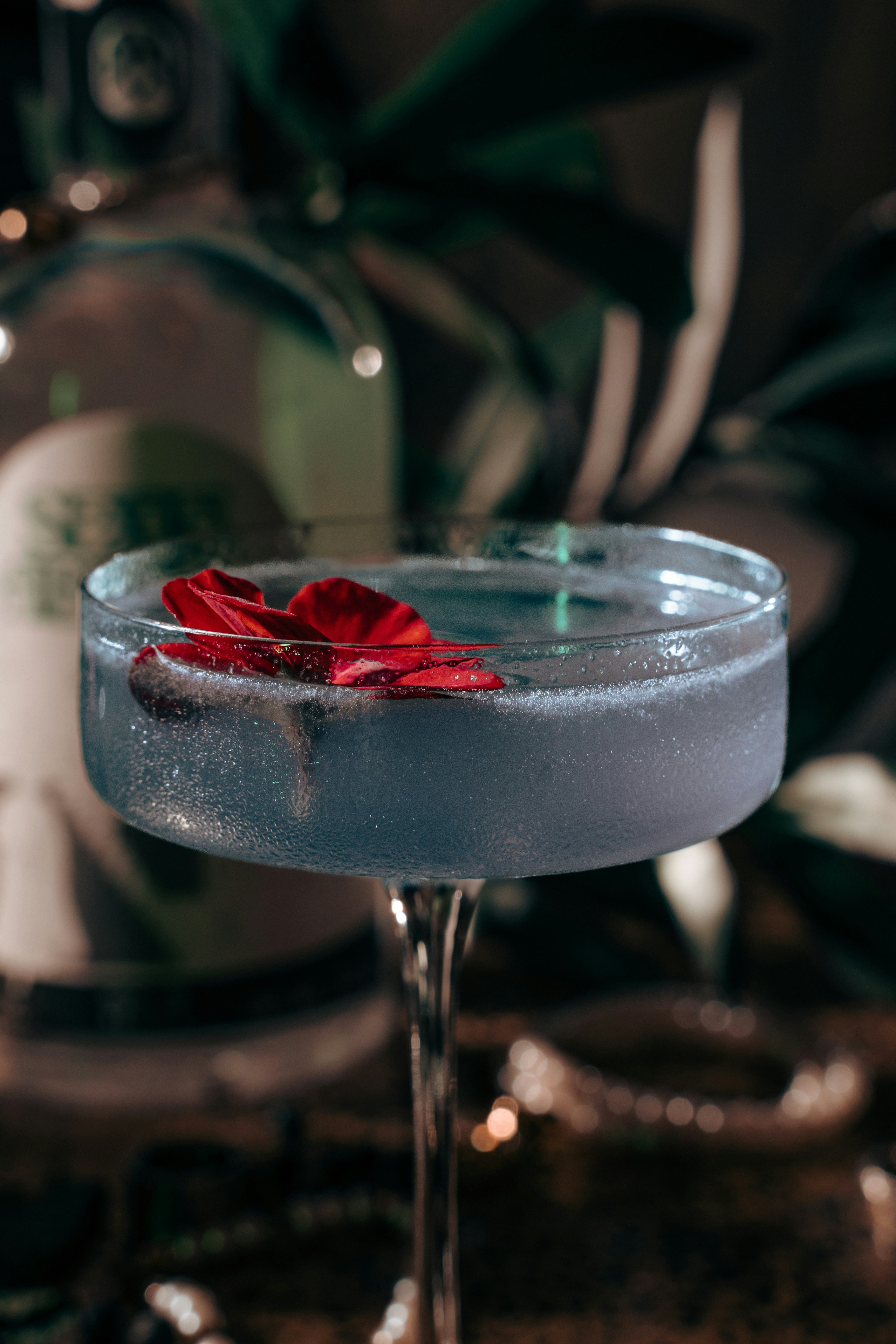 Photo by sextoabismo