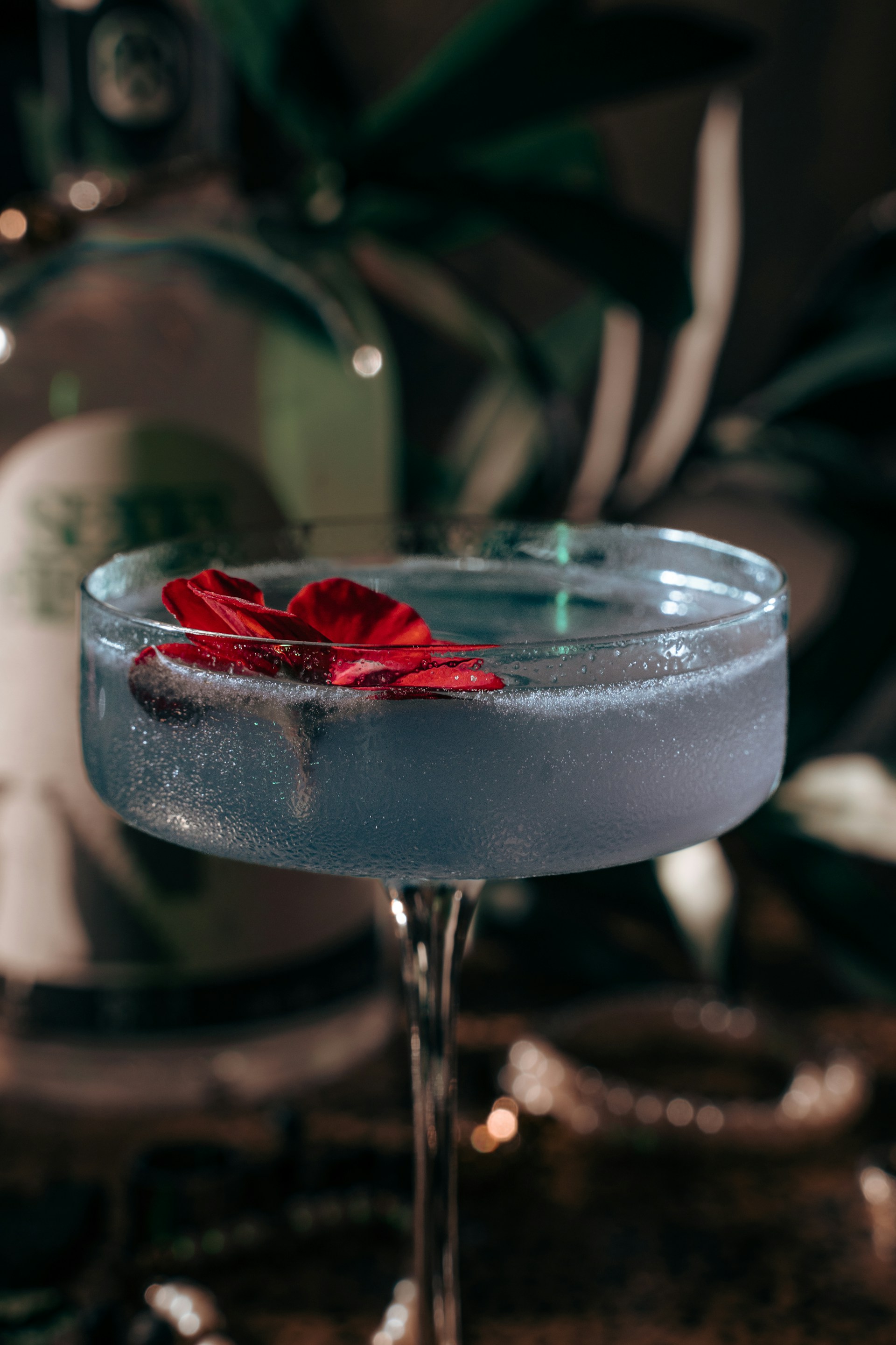 An elegant cocktail in a crystal glass with a bright red hibiscus flower garnish, glowing softly under ambient lighting that reflects the luxury of TJ Food Experience Galapagos.