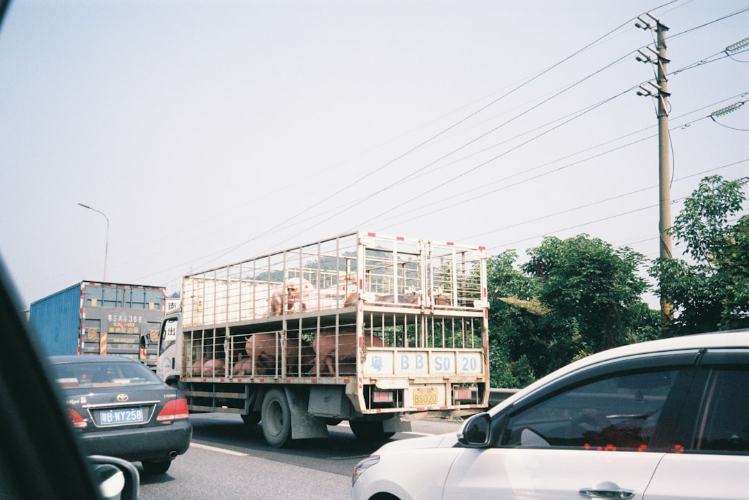 Auto-Transport. Buś Jerzy