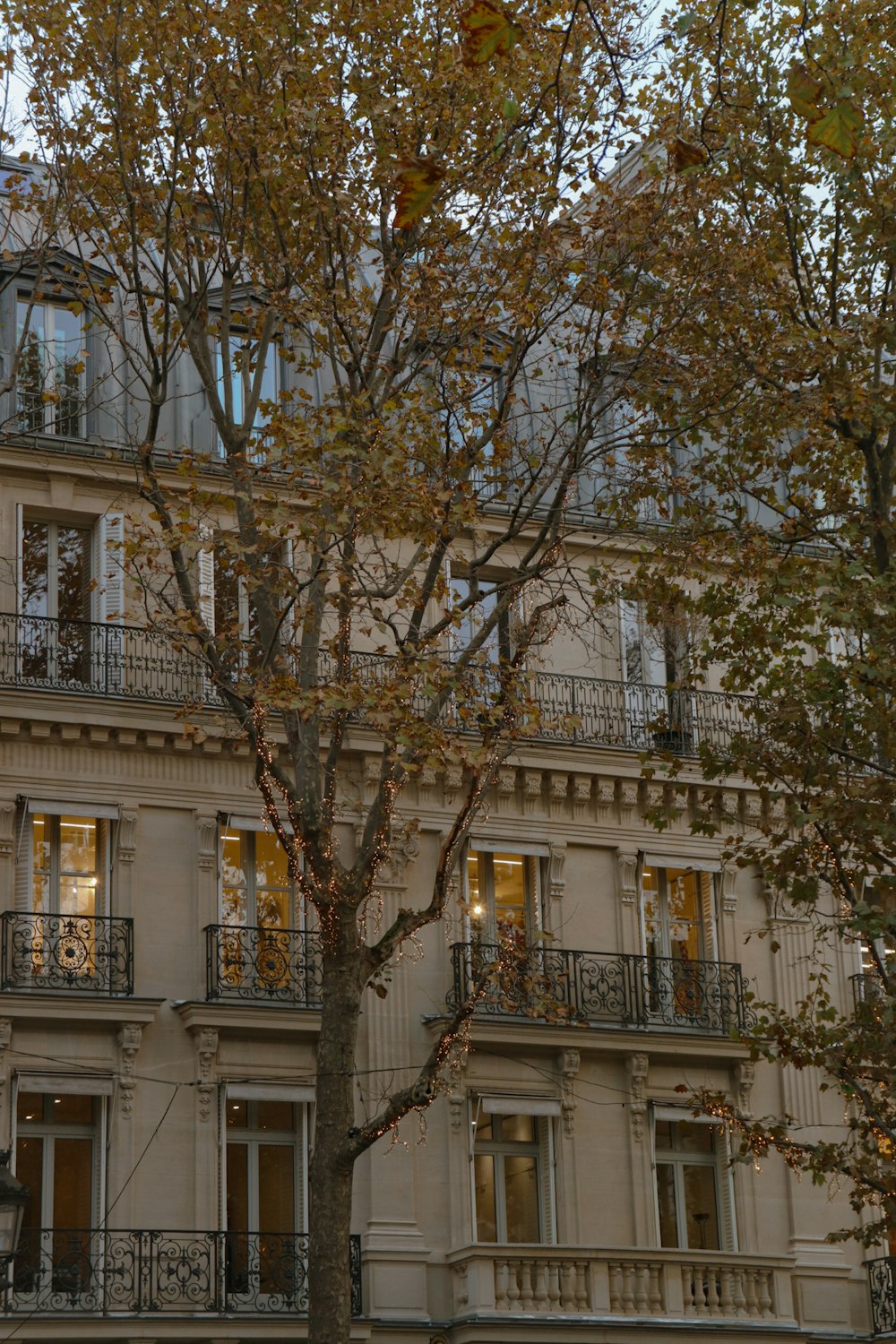 a large building with a tree in front of it