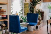 A cozy office space with plants and comfortable seating, inviting for therapy sessions.