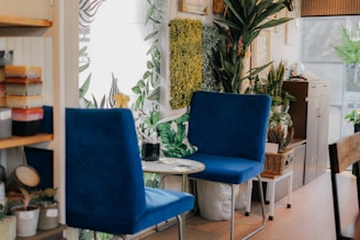 Comfortable lounge space with cozy seating and plants creating a welcoming atmosphere.