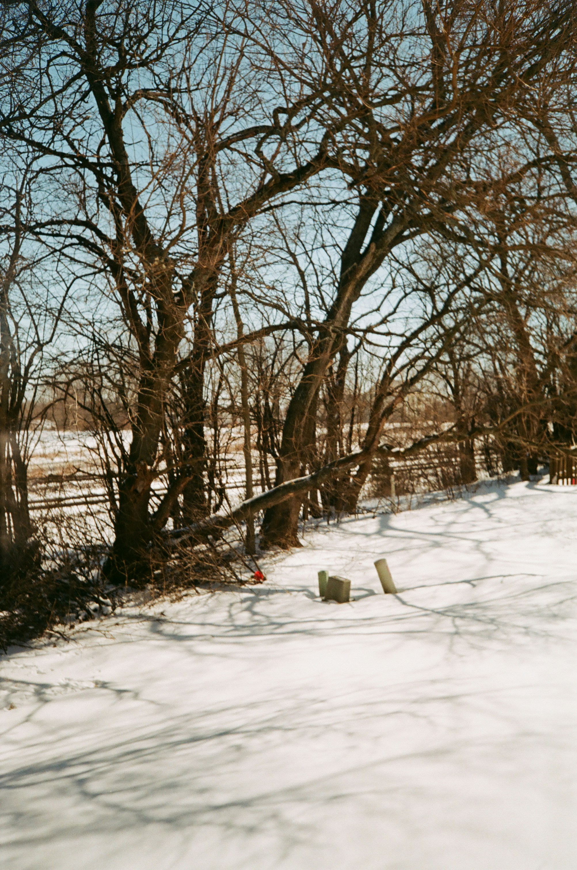 a man riding skis down a snow covered slope