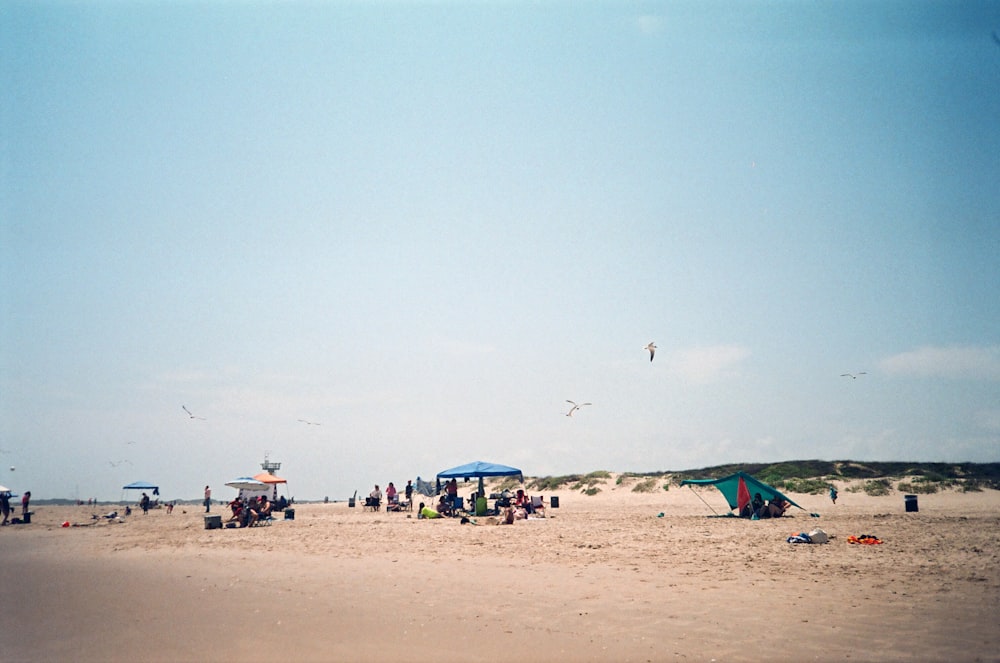 a group of people standing on top of a sandy beach