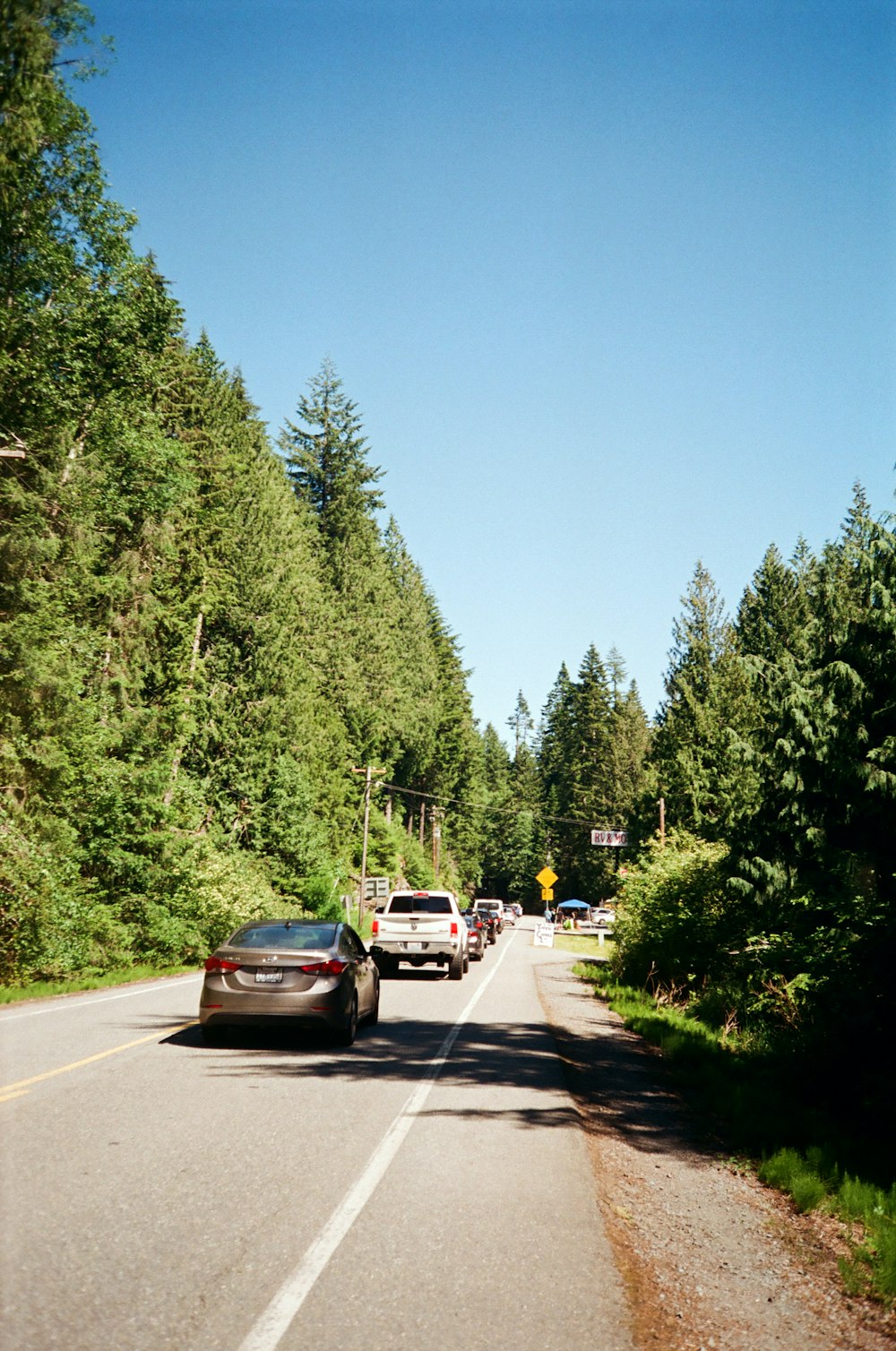 a car driving down a road next to a forest