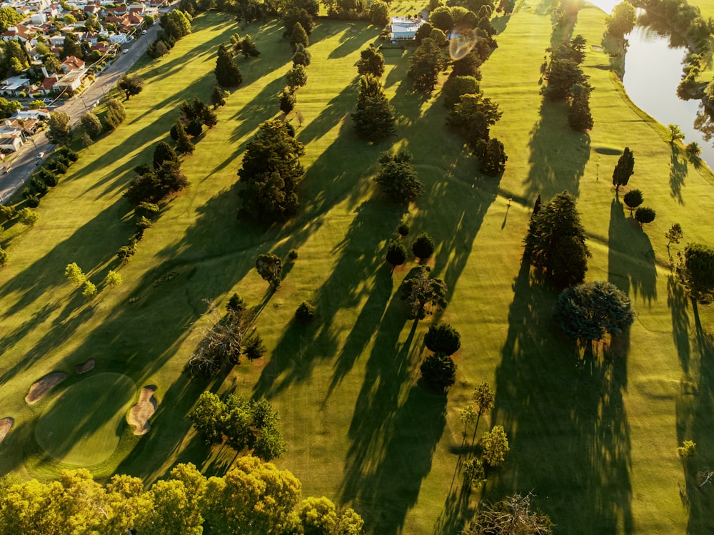 an aerial view of a golf course surrounded by trees