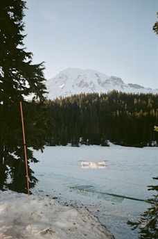 a snow covered lake with a mountain in the background