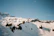 Snow-covered mountains framed by pine trees under a clear blue sky.