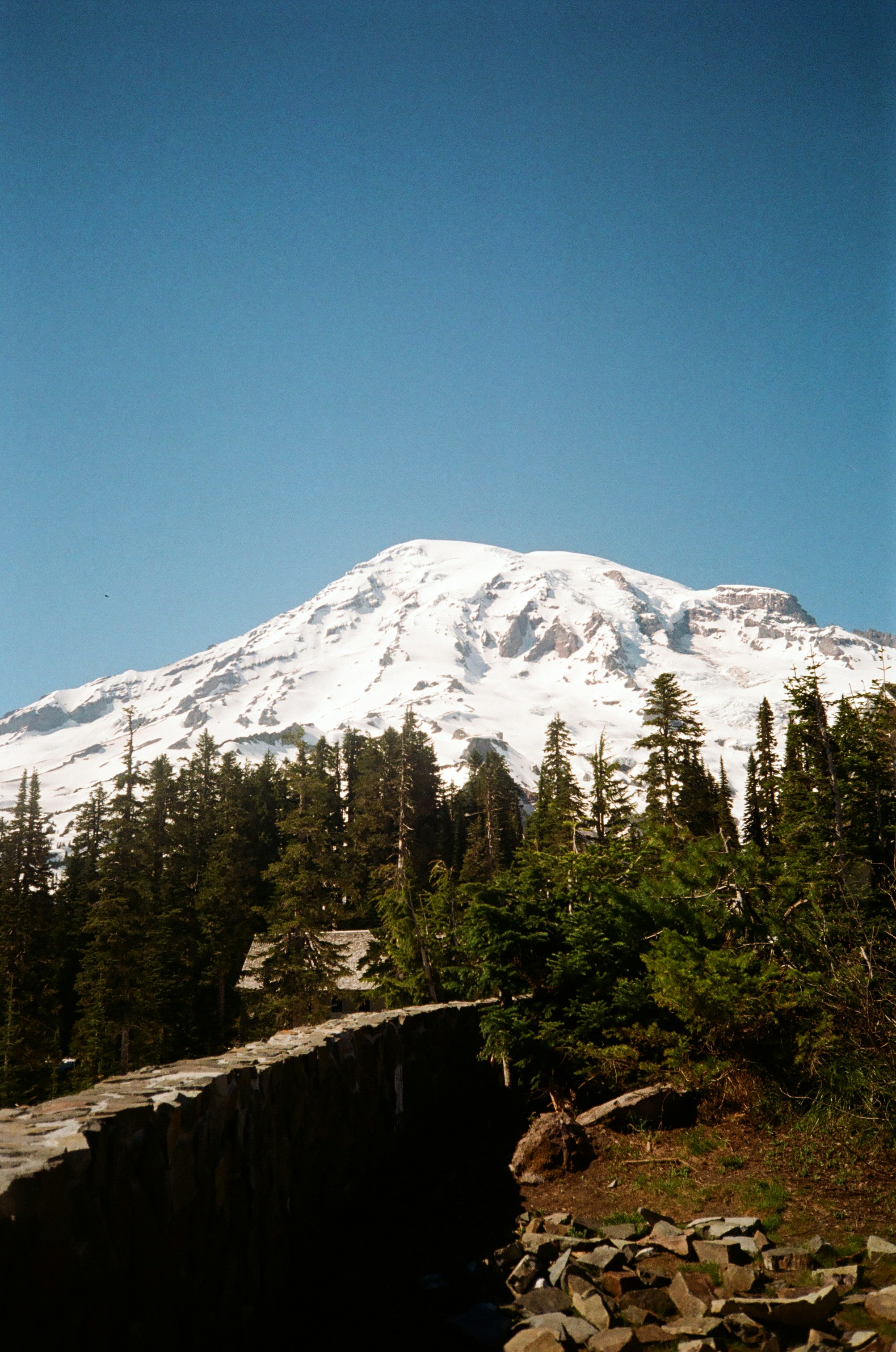 A large snow covered mountain with trees in the foreground photo – Free ...