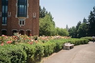 An outdoor campus view showing a peaceful garden and study benches.